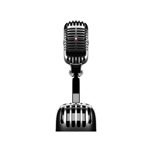 Recording Mic